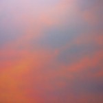 playlist_novembre