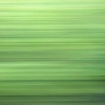 playlist_fevrier